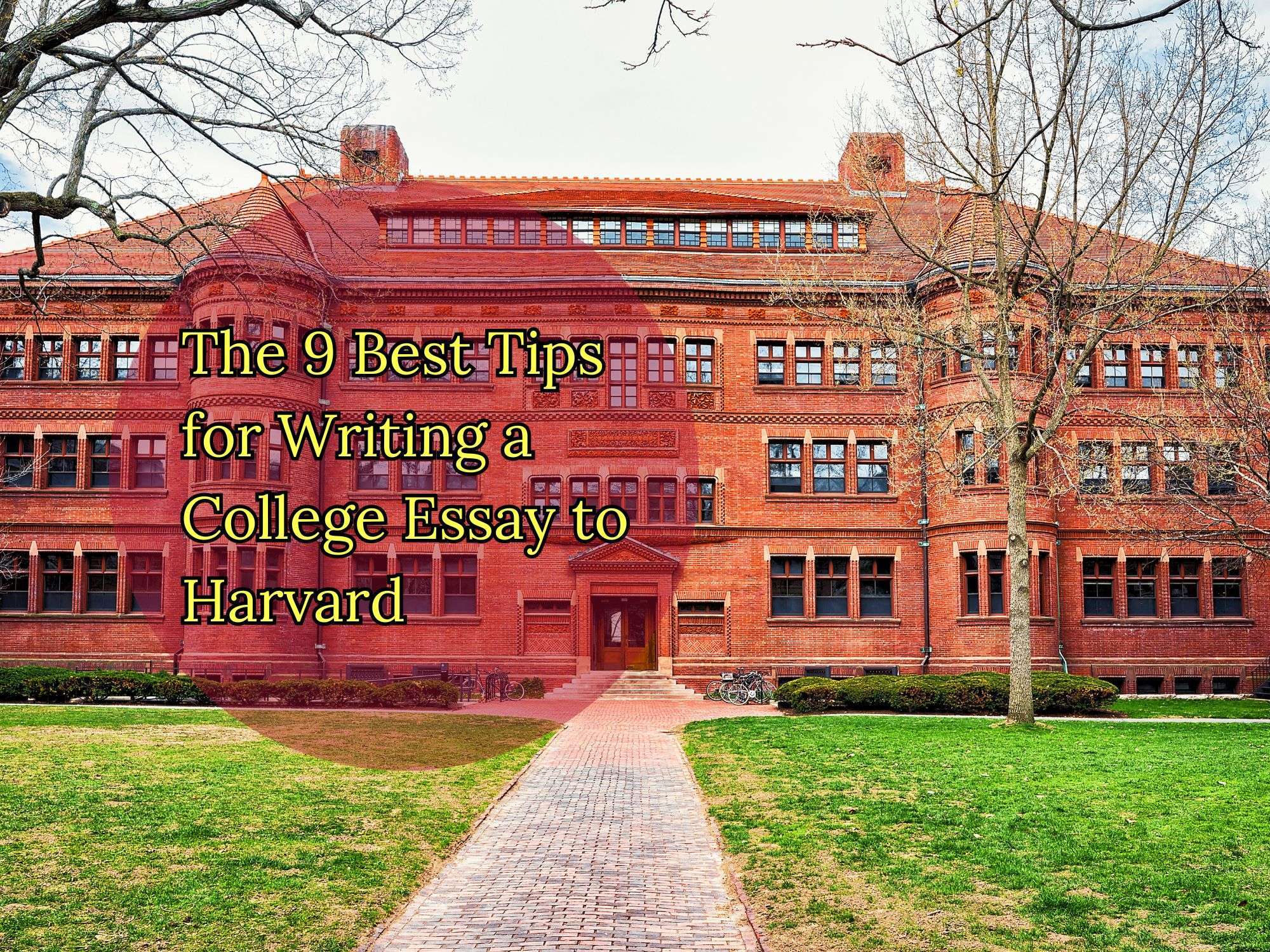 You are currently viewing The 9 Best Tips for Writing a College Essay to Harvard